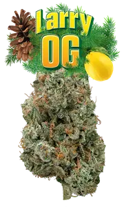 Larry OG Eighth (Glass Jar)