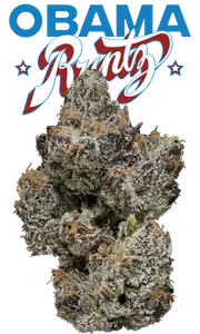 Obama Runtz Eighth