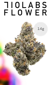RYLU Half Ounce Glass Jar
