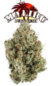 Malibu Pure Kush Eighth (Glass Jar)