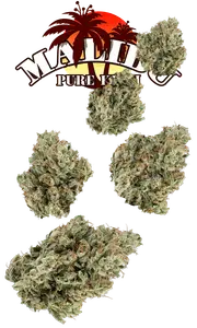 Malibu Pure Kush 7g Juniors