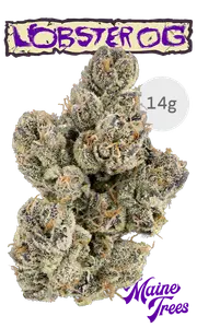 Maine Trees 14g Flower - Lobster OG