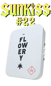 Flowery Whole Flower Preroll Pack 5x0.5g - Sunkiss #22 - The