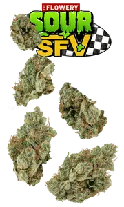 Sour SFV 7g Juniors