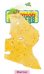 Shatter 1g - Lemon Sherbert