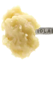 Persy Rosin Badder 2.5g - Gak Smoovie #5 (Living Soil)