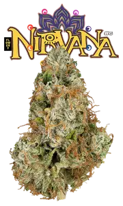 Nirvana #6 Eighth