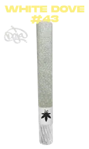 Flowery Vortex Handroll 2G - White Dove #43