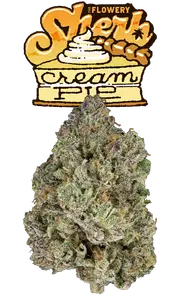 Sherb Cream Pie Eighth