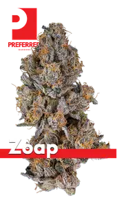 Zoap Eighth
