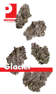 Glacier Quarter