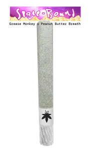Space Bound 2g Vortex Tip