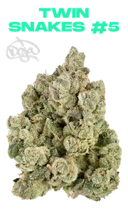 Twin Snakez #5 Eighth