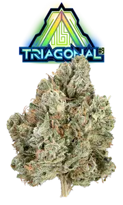 Triagonal #9 Eighth Glass Jar