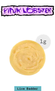 Pink Lobster Live Resin Badder 1G