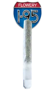 I95 1g Glass Tip