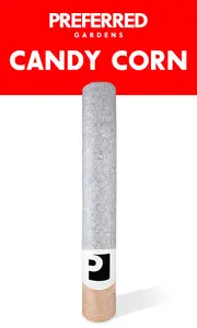 Preferred Gardens Handroll 2G - Candy Corn #6