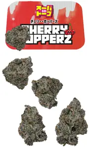 SD Cherry Popperz 7g Juniors
