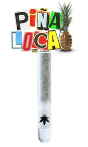 Pina Loca #7 Glass Tip