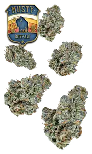Musty Buffalo Quarter