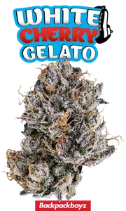 White Cherry Gelato Eighth