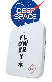 flower　プロフ(必)同封Xページ License Announcment! Expect a booklet of My Noons and Midnights