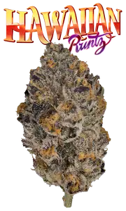 Hawaiian Runtz #8 Eighth