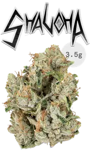 Shaloha Eighth