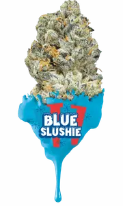 Blue Slushie #3 Eighth
