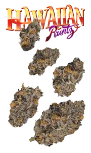 Hawaiian Runtz #8 Quarter