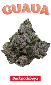 produit vap 2g not real? : r/BackPackBoyz main image 0