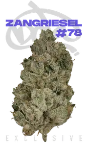 Zangriesel #78 Eighth