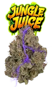 Jungle Juice Eighth (Glass Jars) - The Flowery Shop