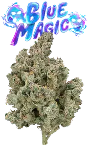 Blue Magic Eighth Glass Jar