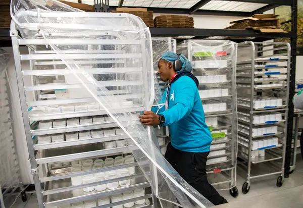 Clone to cloud cultivation approach
