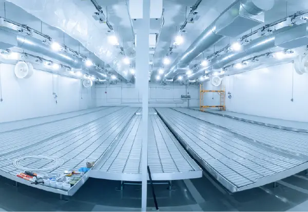 Florida facility grow rooms and nursery