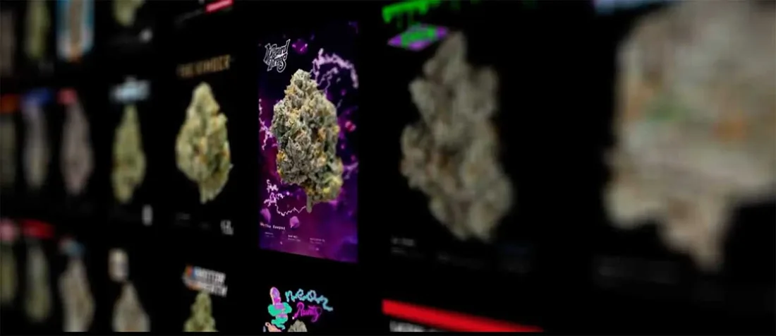 Controlled indoor cultivation in Florida
