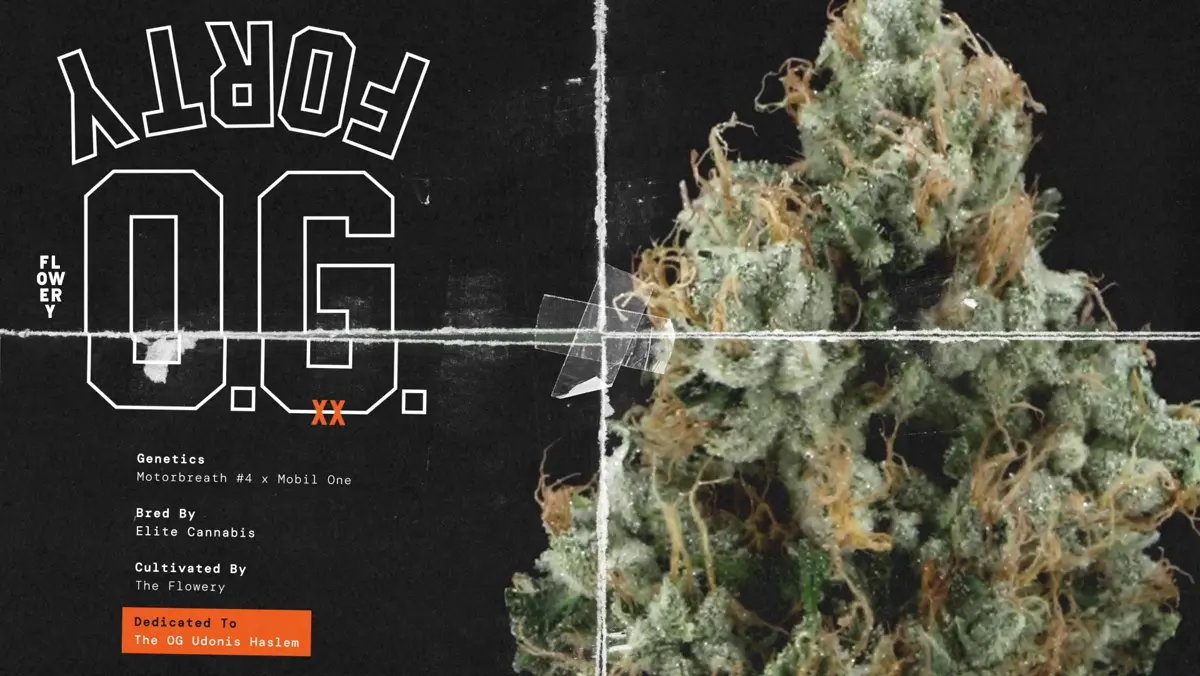 40 OG strain frame poster