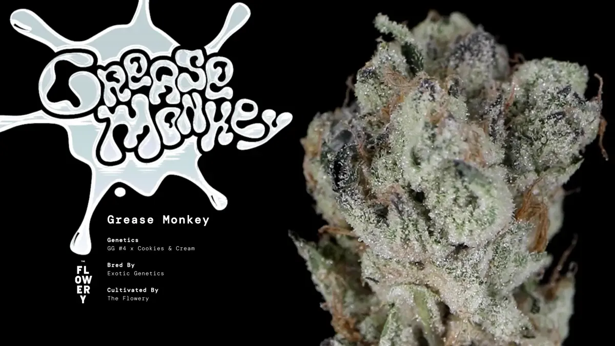 Grease Monkey strain frame poster