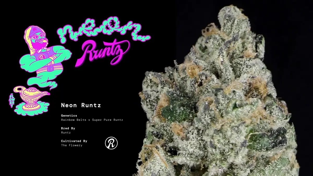 Neon Runtz strain frame poster