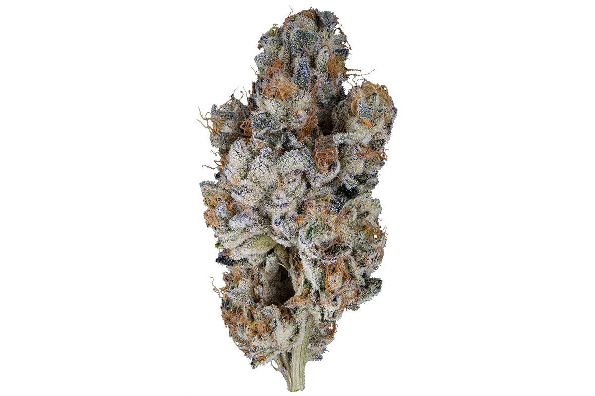 LA Kush Cake Eighth The Flowery