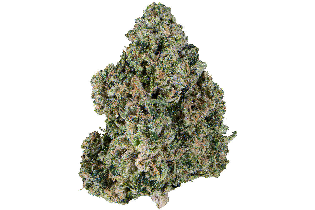 Waffle Cone Eighth The Flowery