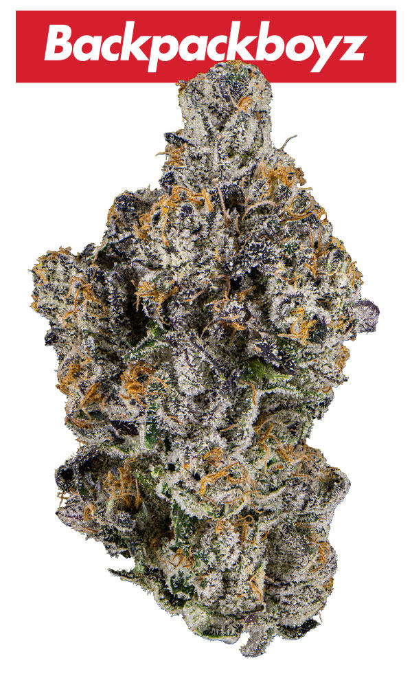 Black Cherry Gelato Eighth - The Flowery Shop