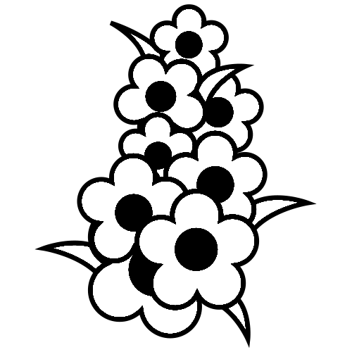 preroll_icon