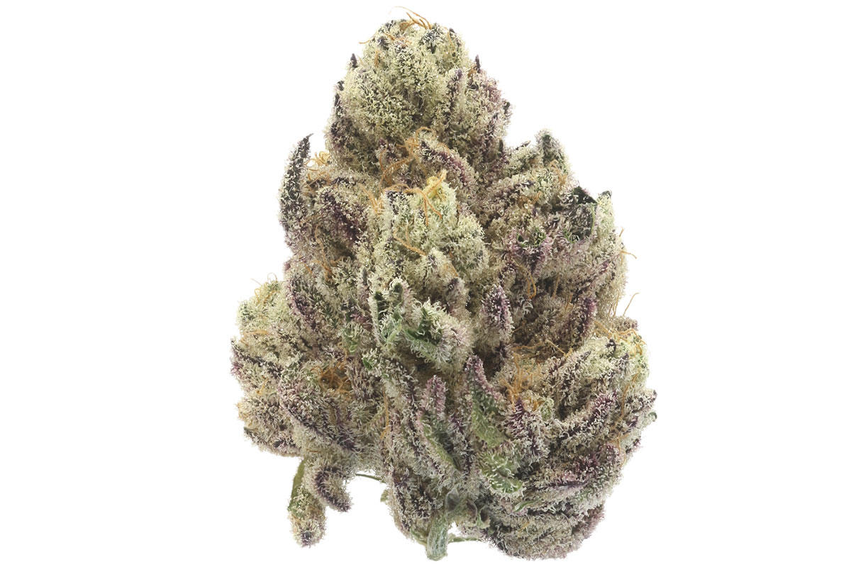 710 Labs 14g Cake Crasher (Smalls) The Flowery Shop