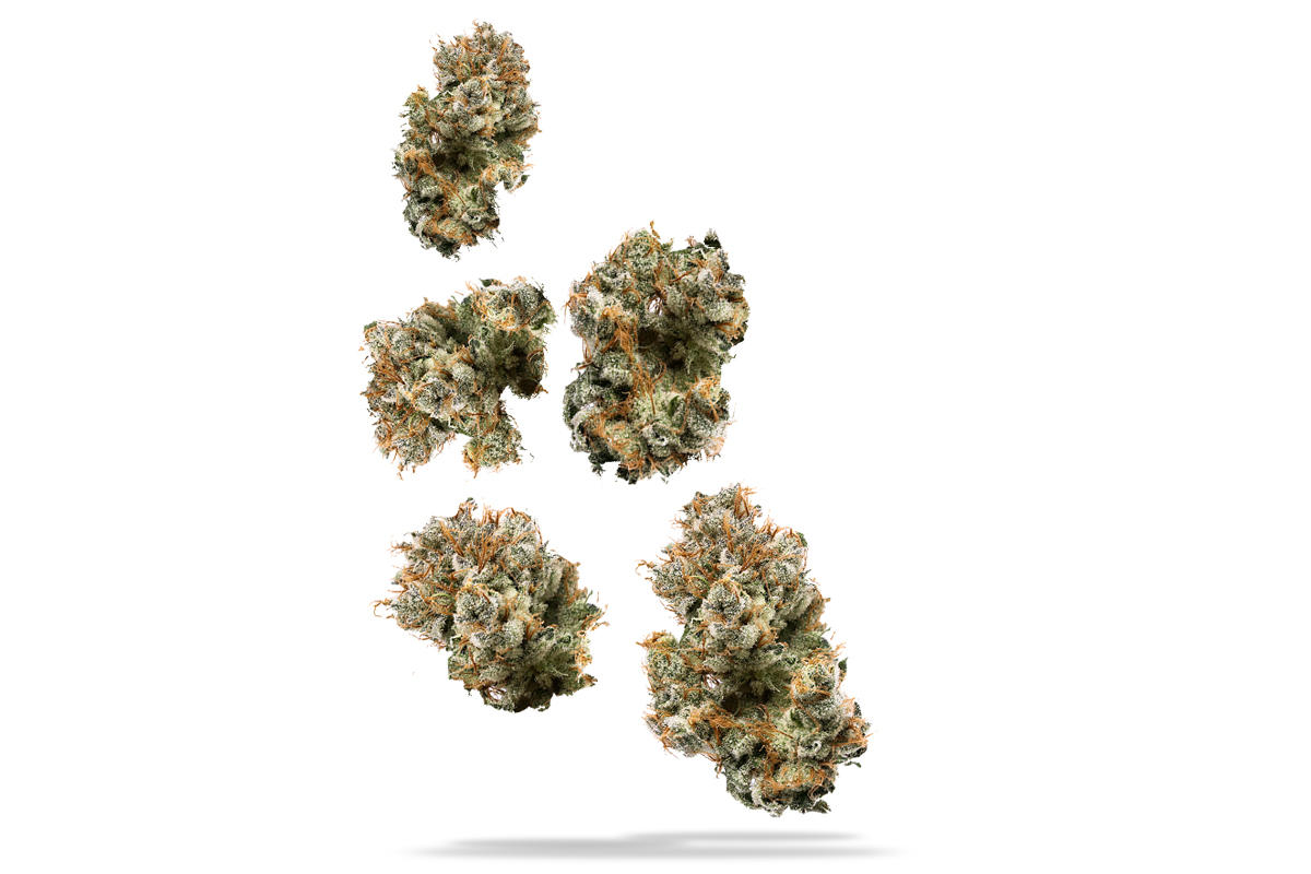 710 Labs 14g Grease Bucket (Smalls) The Flowery Shop