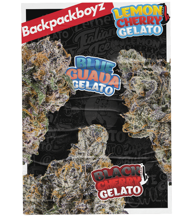 Zuper Bubblegum 7g Juniors The Flowery