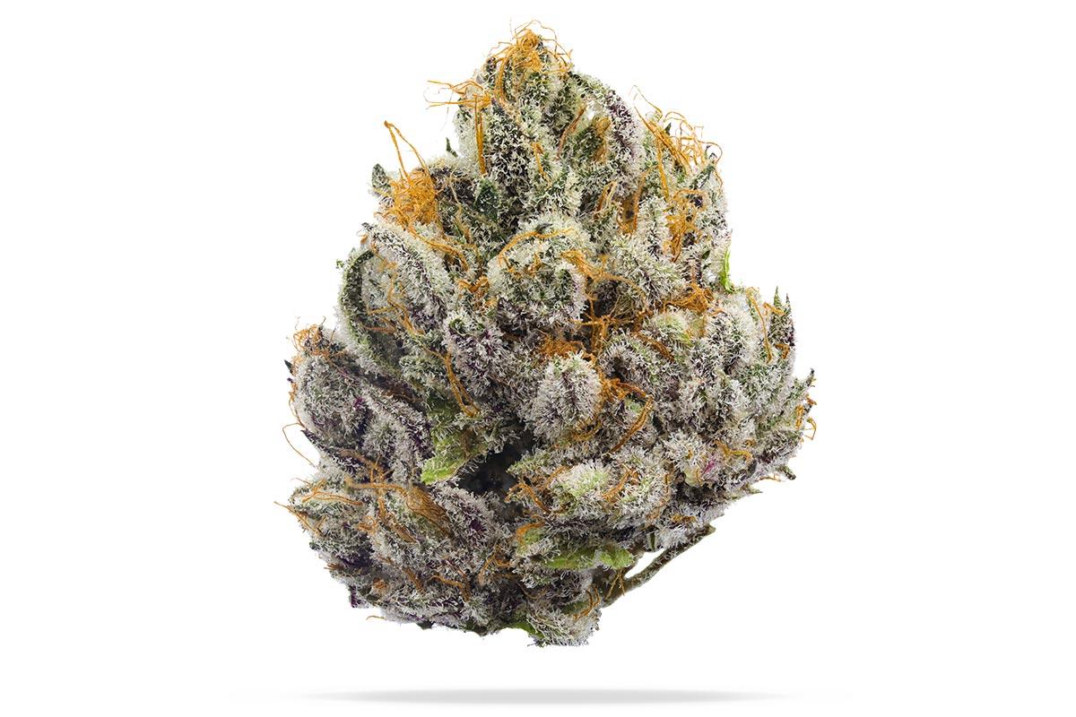 710 Labs 14g - Gak Smoovie #5 Flower - The Flowery Shop