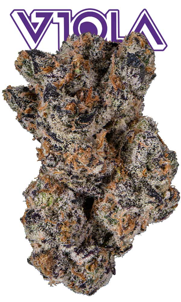 Pure Michigan Eighth - The Flowery Shop