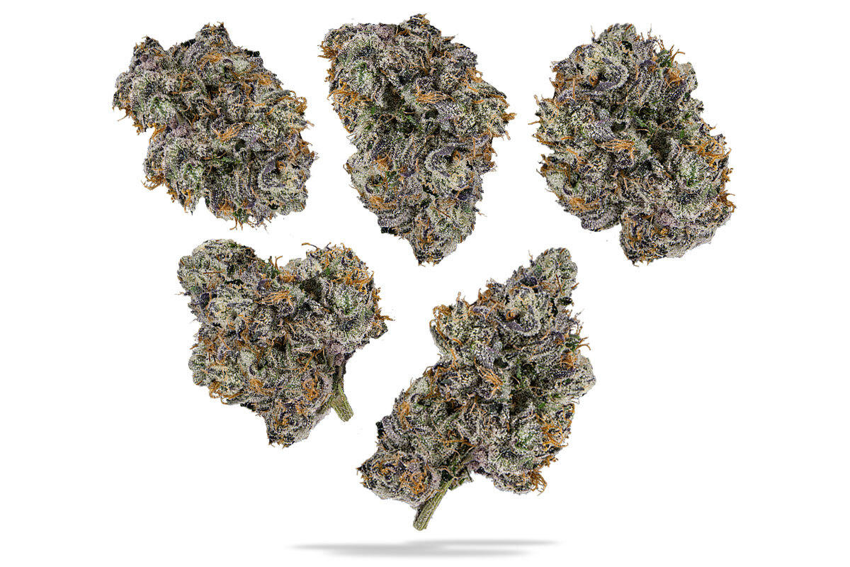 Lemon Cherry Gelato 7g Juniors - The Flowery Shop